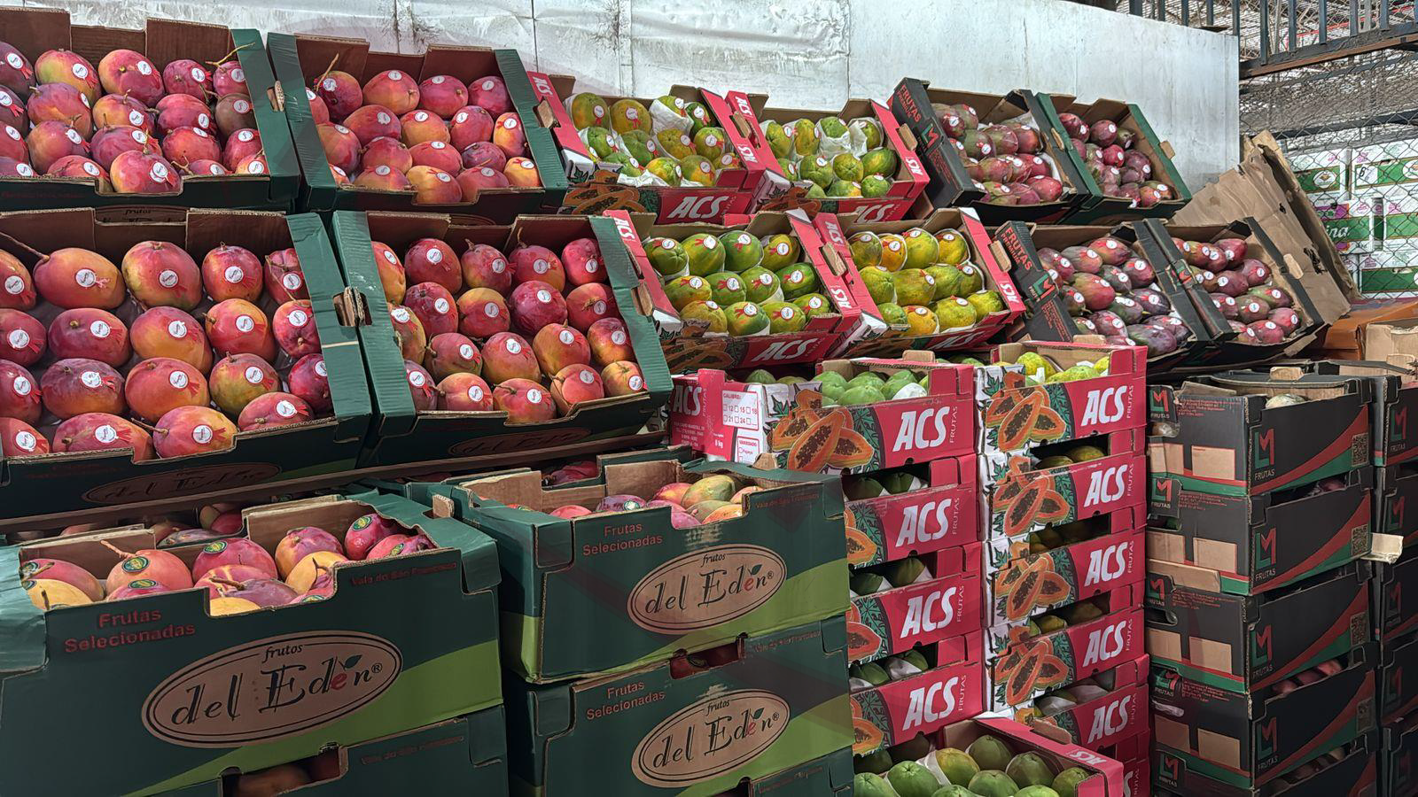 Estoque de frutas frescas da Metha Alimentos